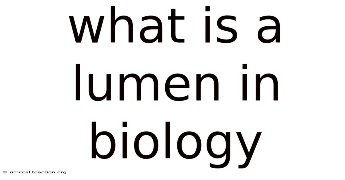 What Is A Lumen In Biology