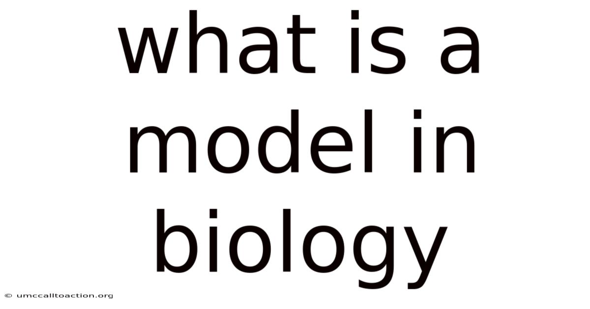 What Is A Model In Biology