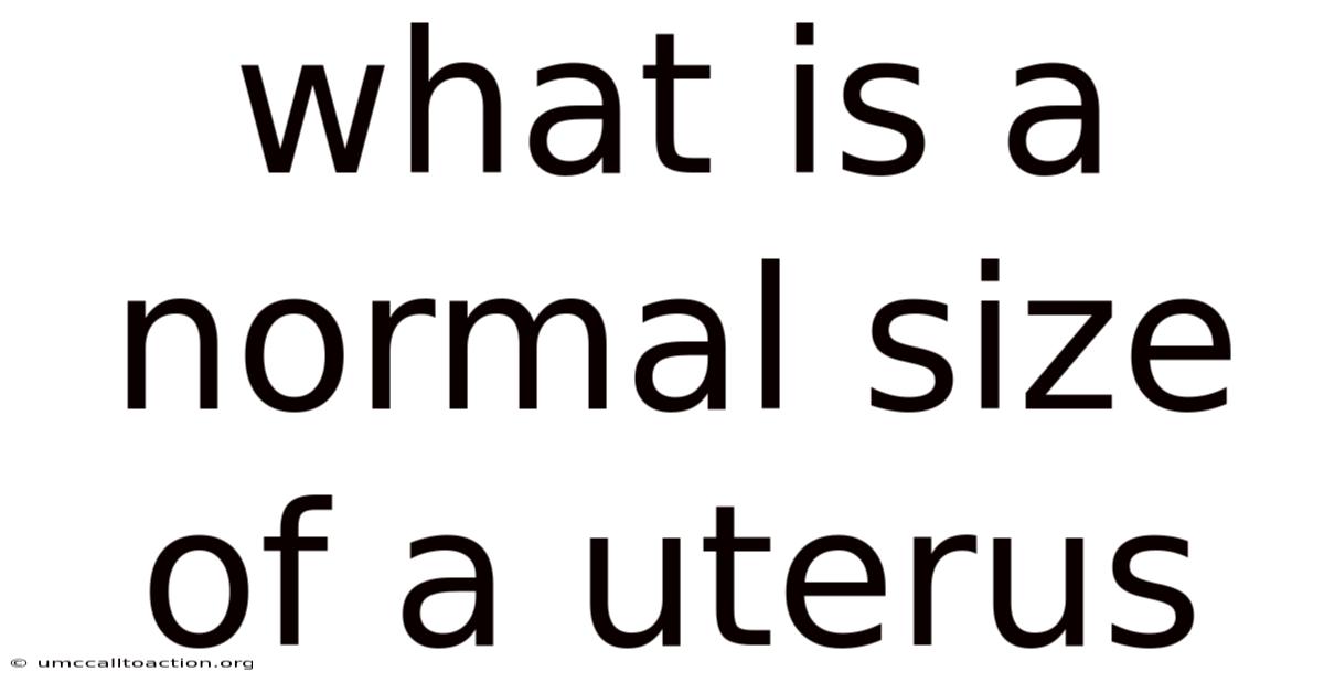 What Is A Normal Size Of A Uterus