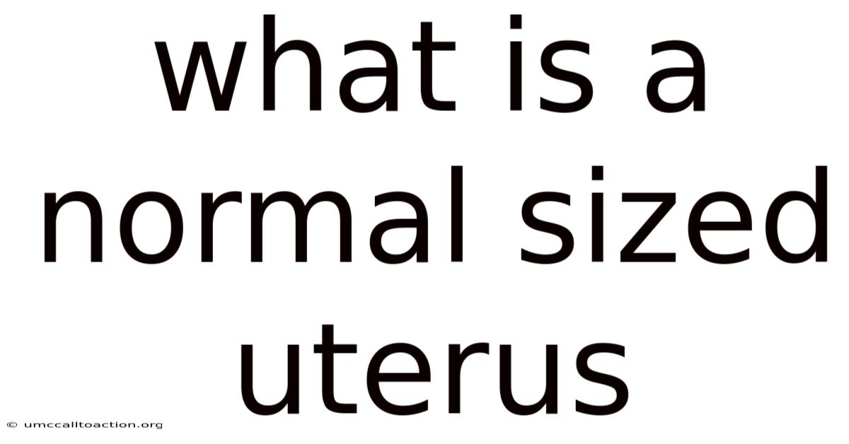 What Is A Normal Sized Uterus