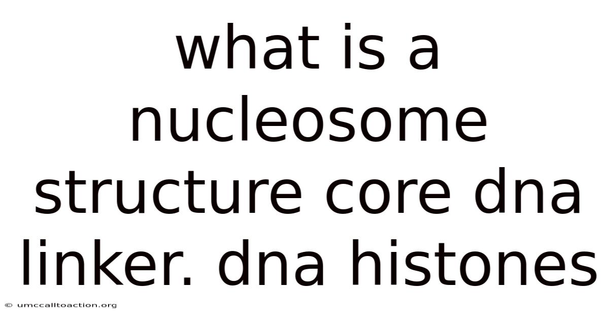 What Is A Nucleosome Structure Core Dna Linker. Dna Histones