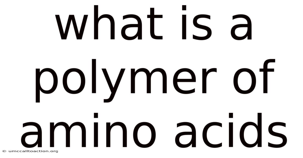What Is A Polymer Of Amino Acids