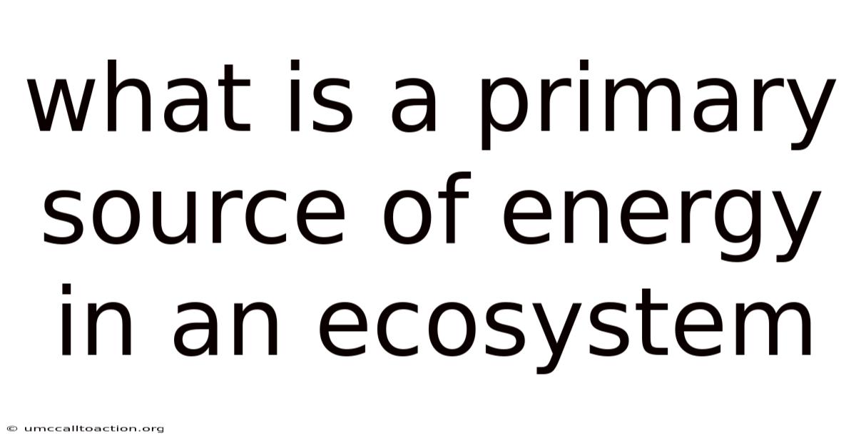 What Is A Primary Source Of Energy In An Ecosystem