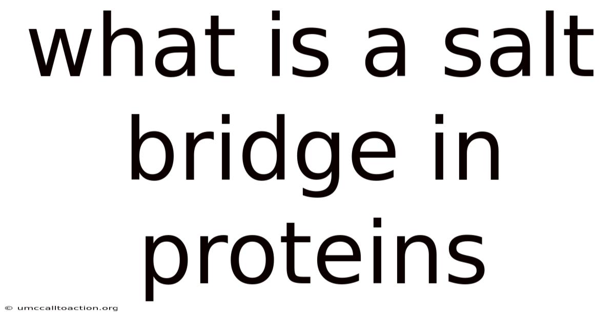 What Is A Salt Bridge In Proteins