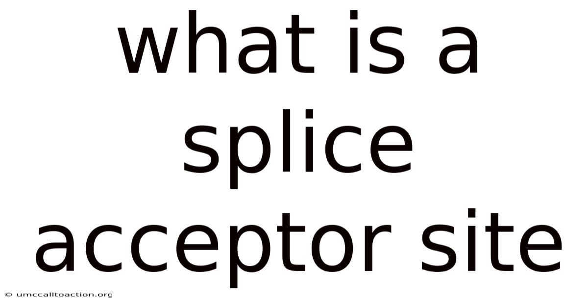 What Is A Splice Acceptor Site