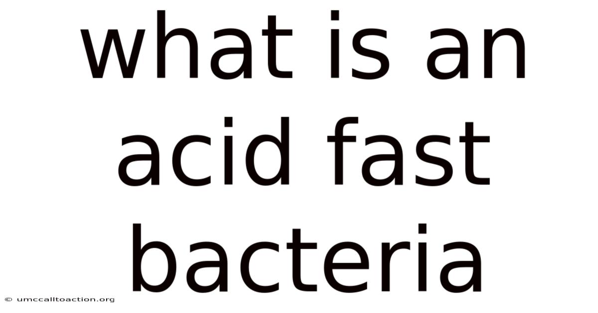 What Is An Acid Fast Bacteria