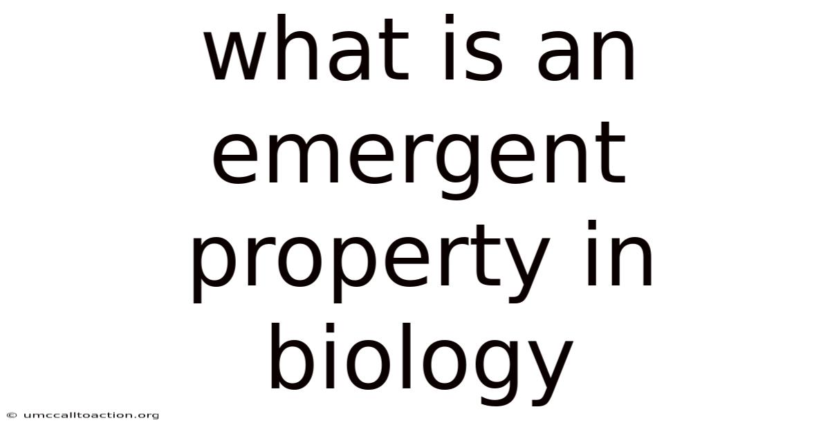 What Is An Emergent Property In Biology