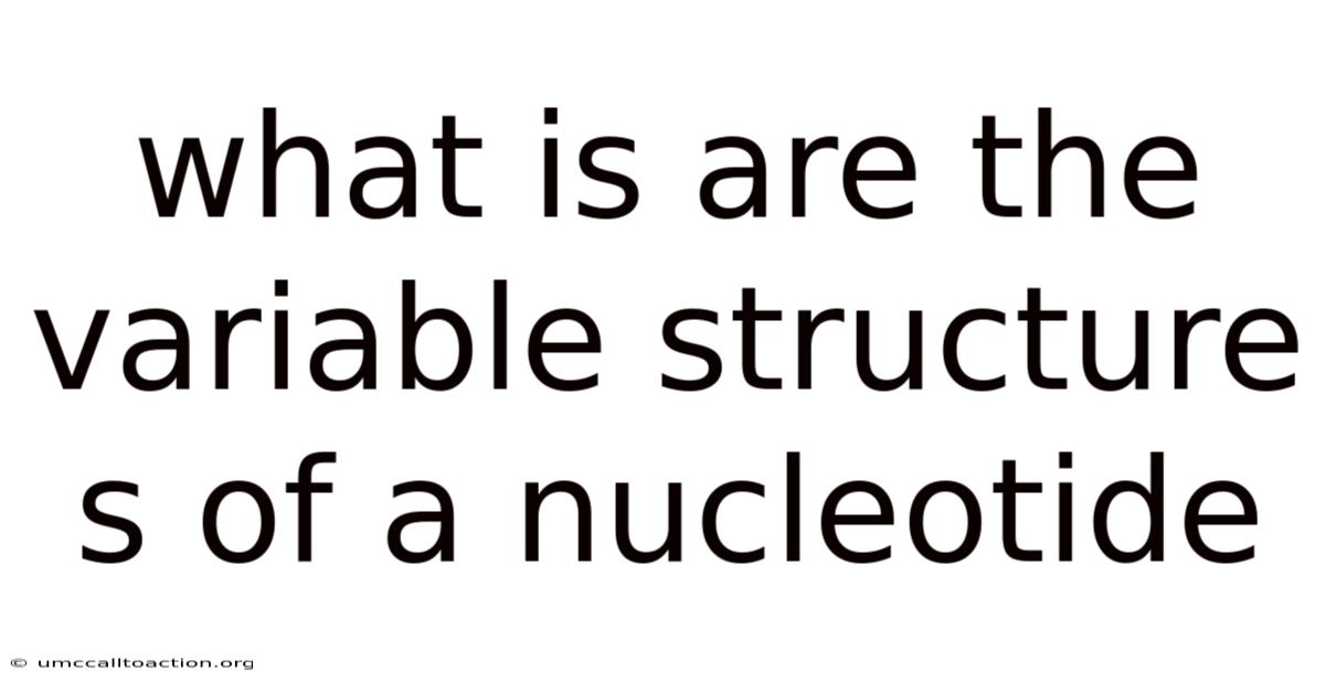 What Is Are The Variable Structure S Of A Nucleotide