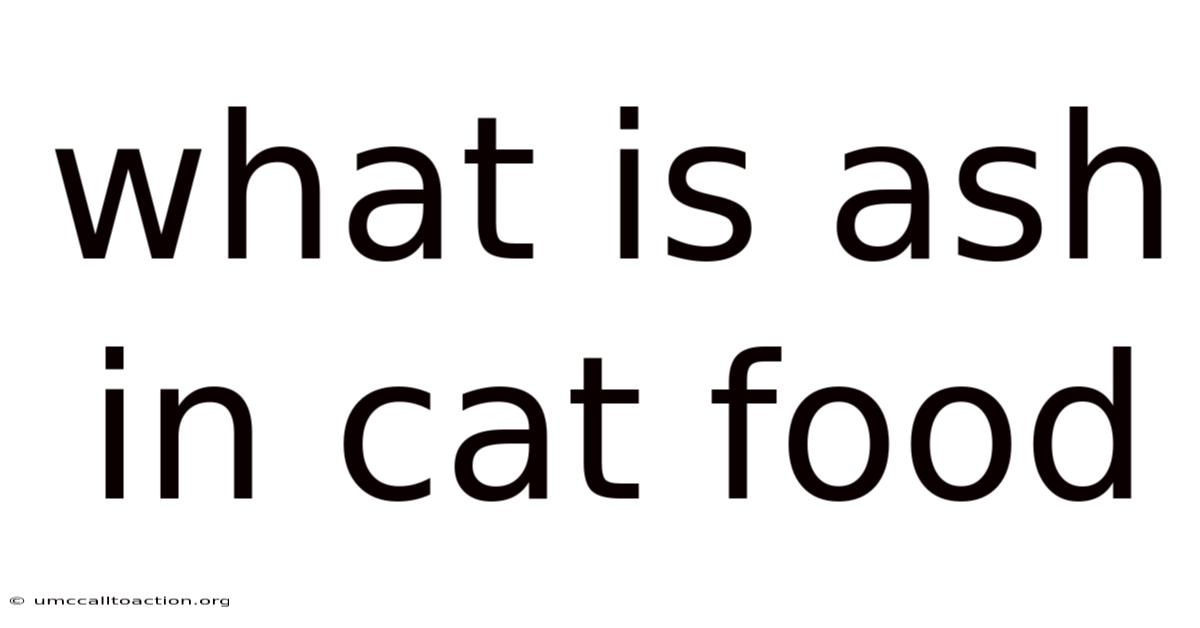 What Is Ash In Cat Food