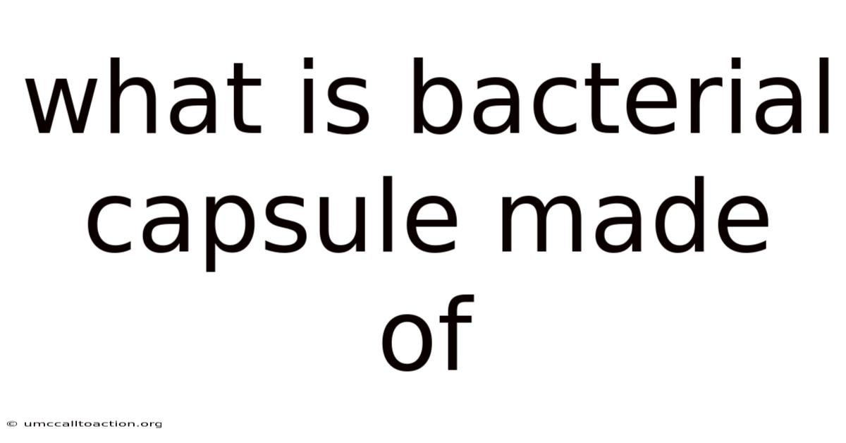 What Is Bacterial Capsule Made Of