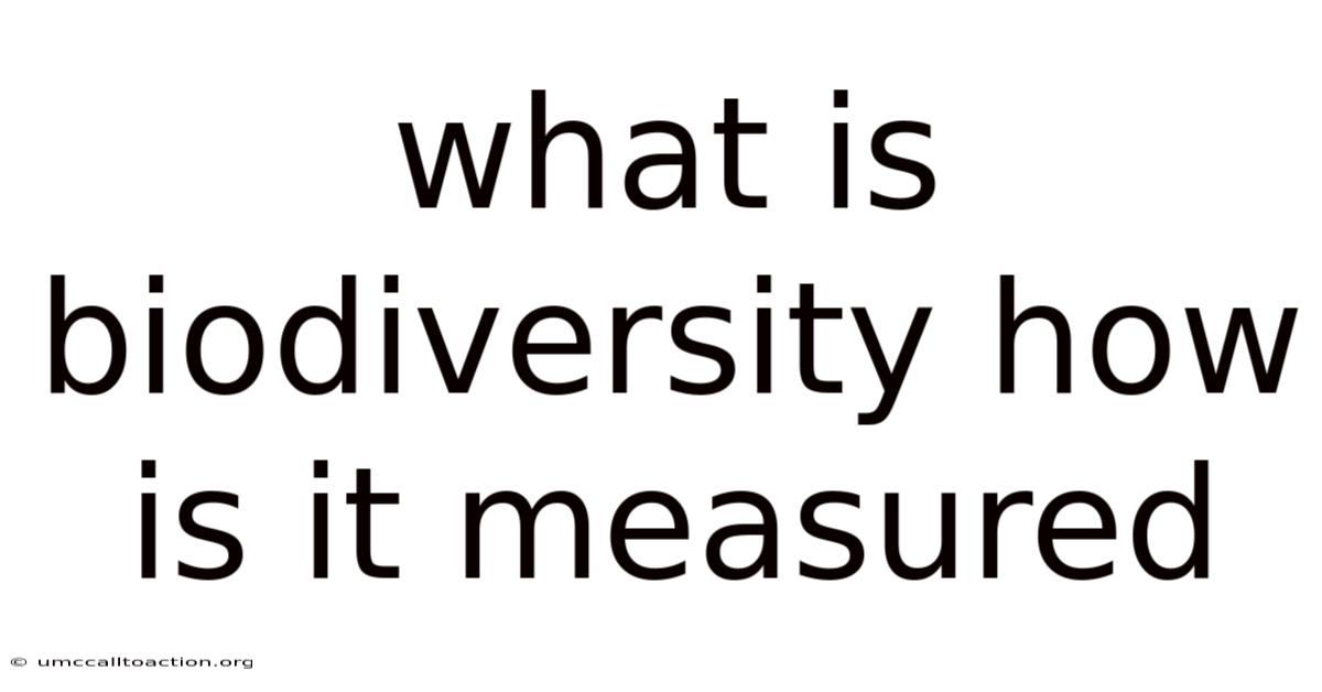 What Is Biodiversity How Is It Measured