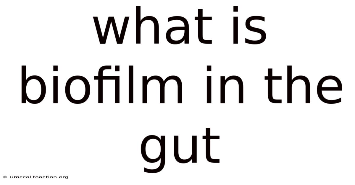 What Is Biofilm In The Gut