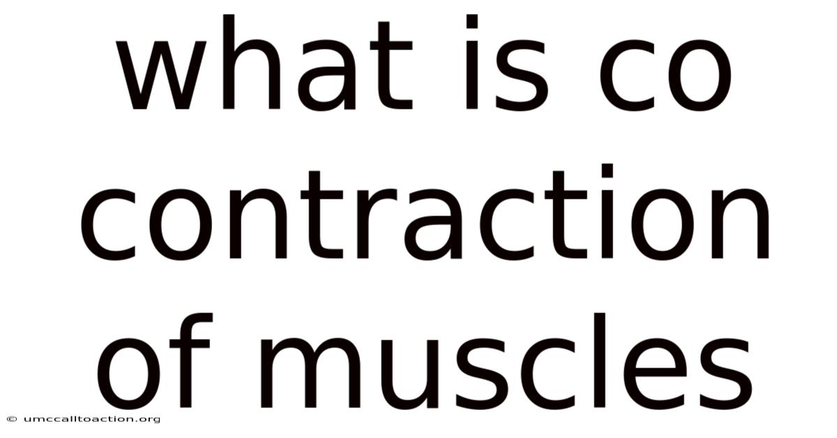 What Is Co Contraction Of Muscles