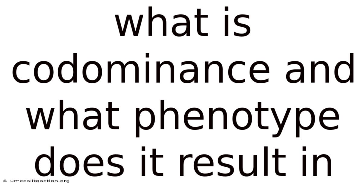 What Is Codominance And What Phenotype Does It Result In