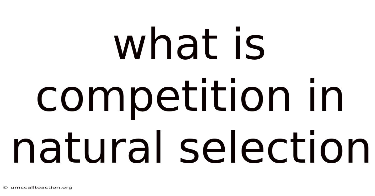 What Is Competition In Natural Selection