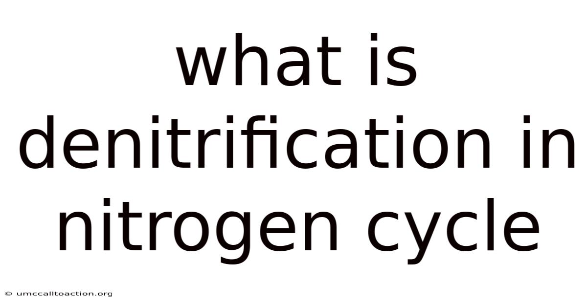 What Is Denitrification In Nitrogen Cycle