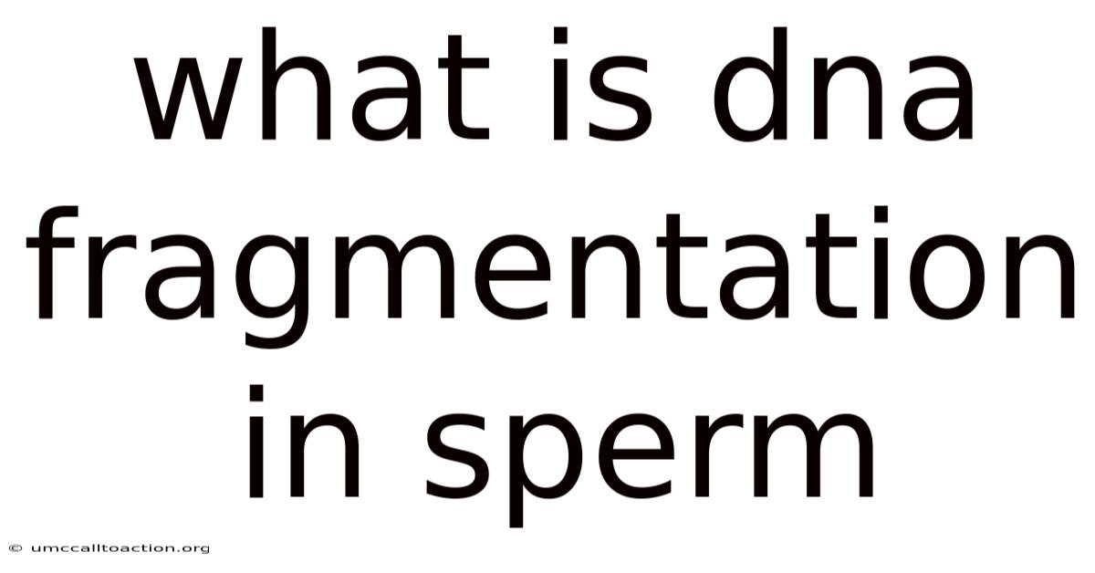 What Is Dna Fragmentation In Sperm
