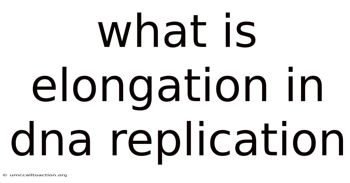 What Is Elongation In Dna Replication