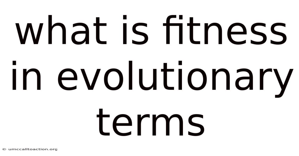 What Is Fitness In Evolutionary Terms
