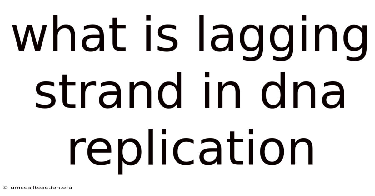 What Is Lagging Strand In Dna Replication