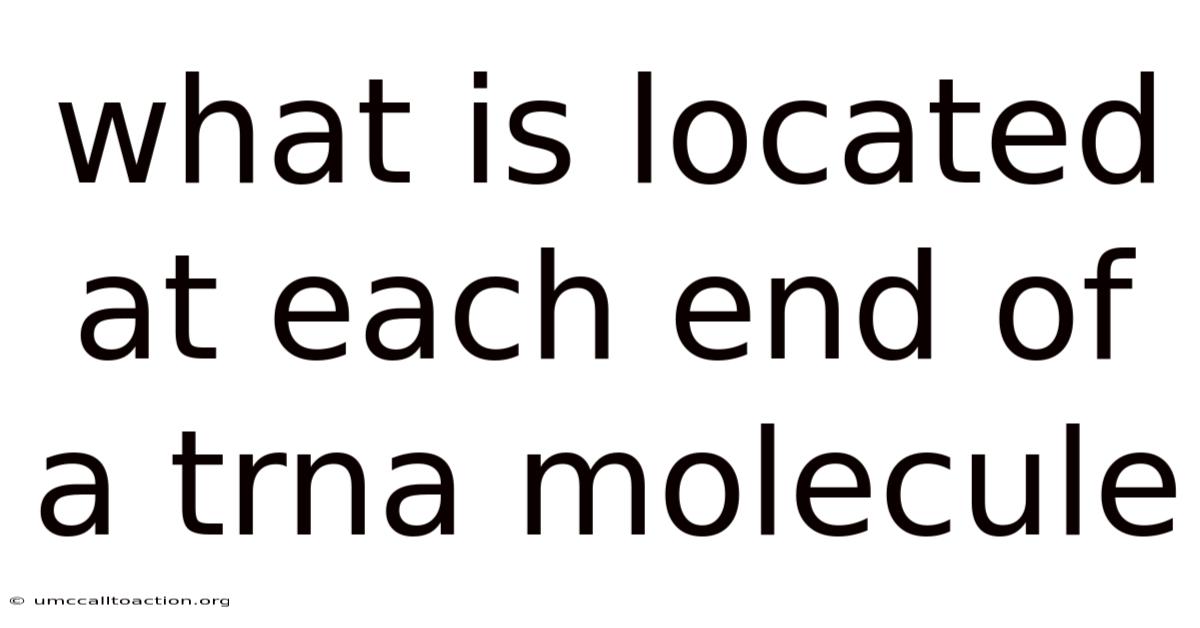 What Is Located At Each End Of A Trna Molecule
