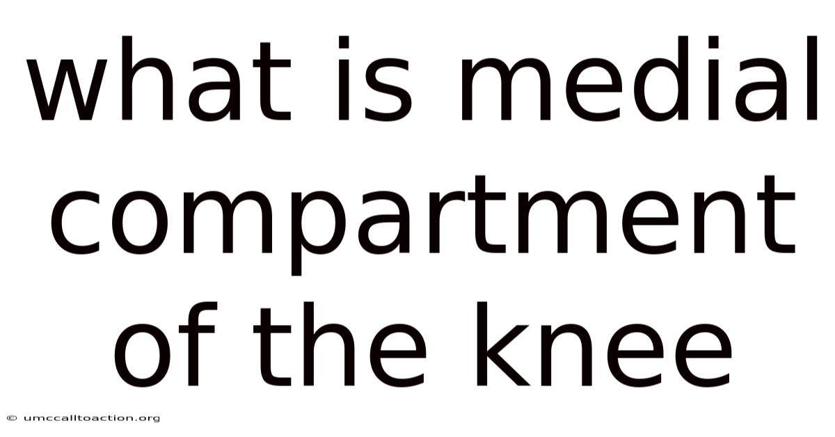 What Is Medial Compartment Of The Knee