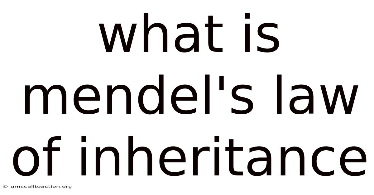 What Is Mendel's Law Of Inheritance