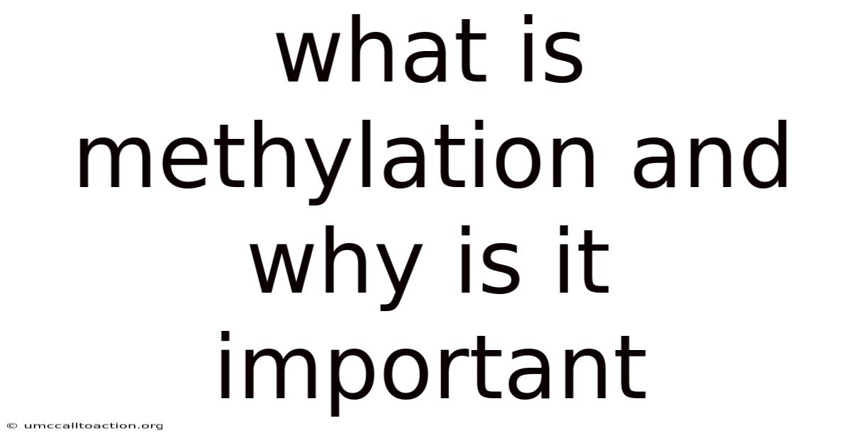 What Is Methylation And Why Is It Important