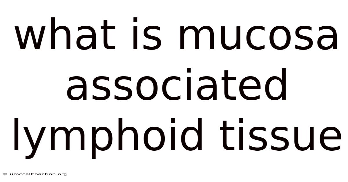 What Is Mucosa Associated Lymphoid Tissue