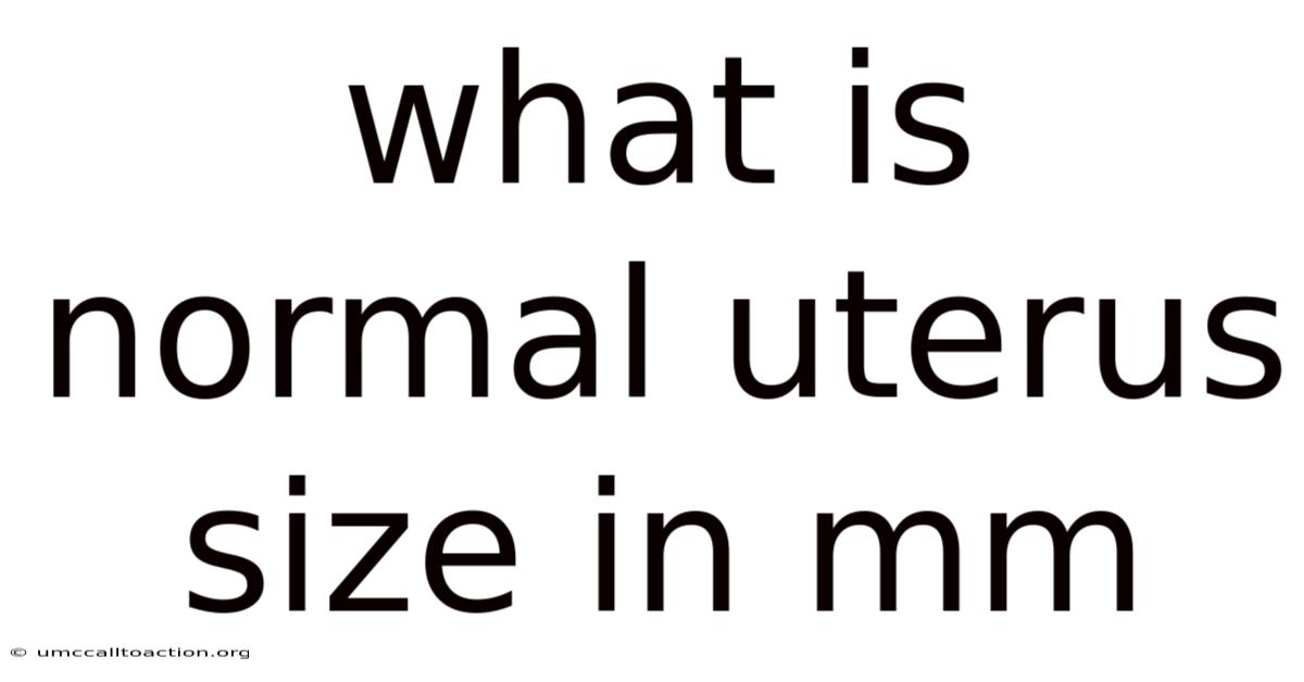 What Is Normal Uterus Size In Mm