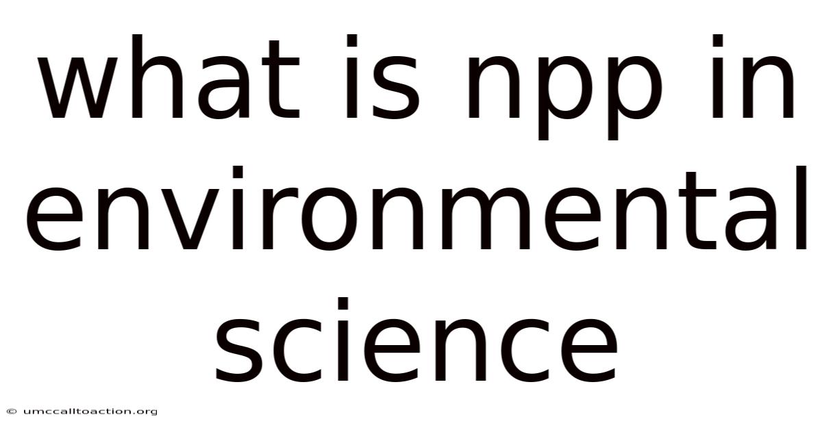 What Is Npp In Environmental Science