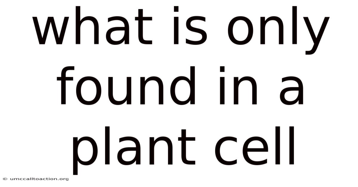 What Is Only Found In A Plant Cell