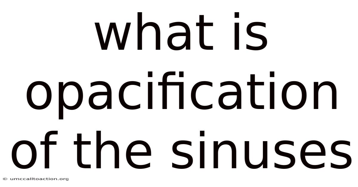 What Is Opacification Of The Sinuses