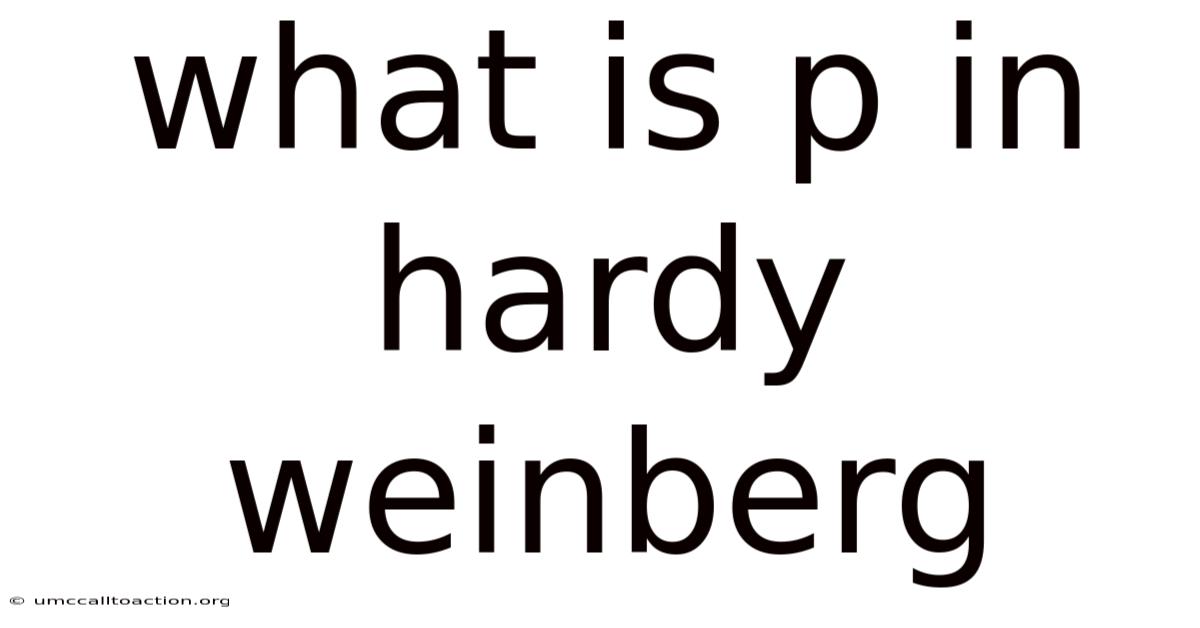 What Is P In Hardy Weinberg