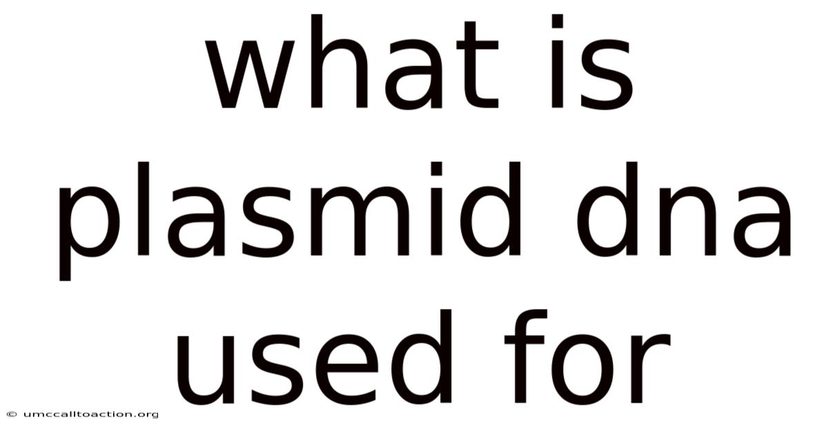 What Is Plasmid Dna Used For