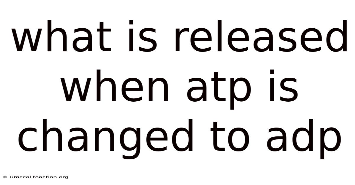 What Is Released When Atp Is Changed To Adp