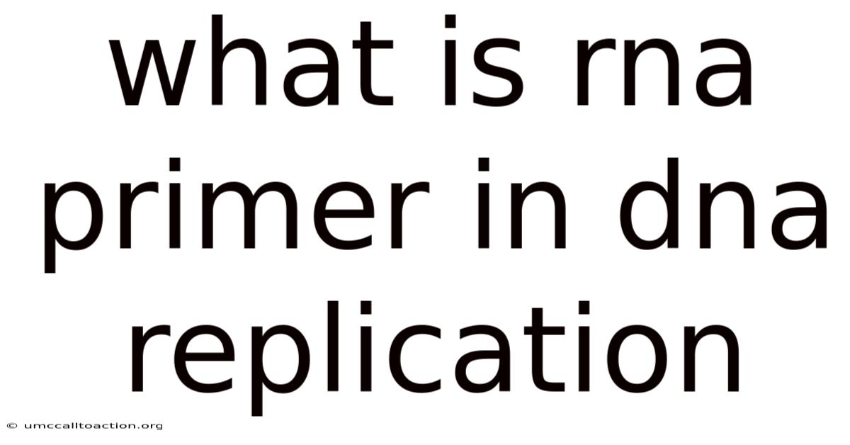 What Is Rna Primer In Dna Replication