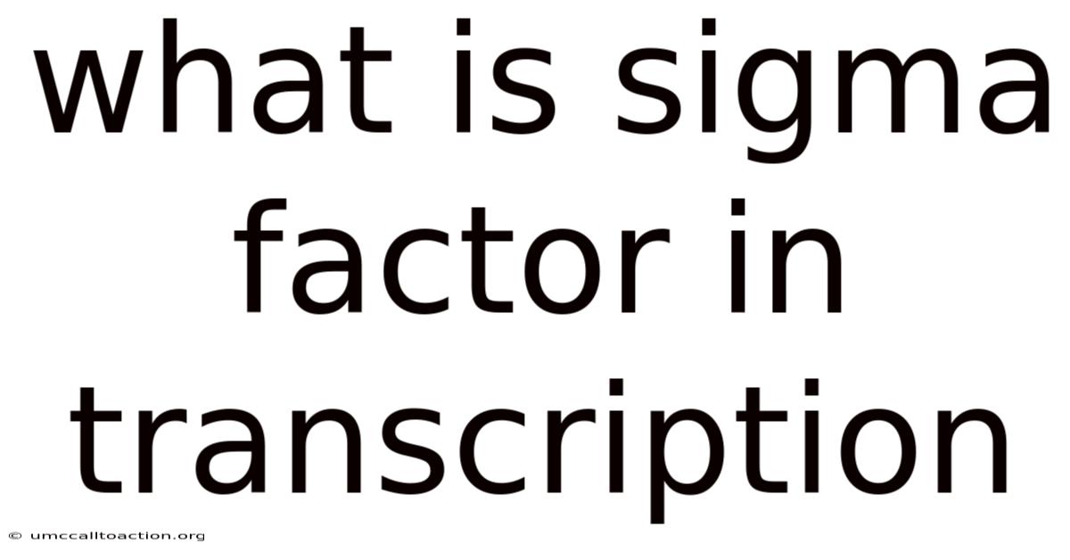 What Is Sigma Factor In Transcription