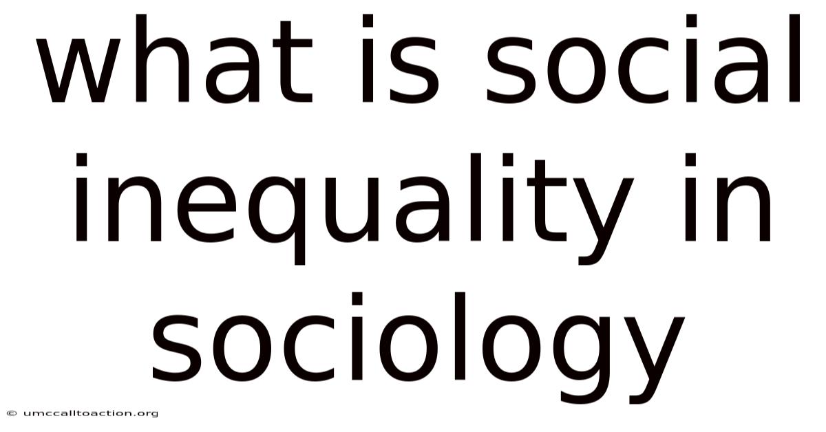 What Is Social Inequality In Sociology