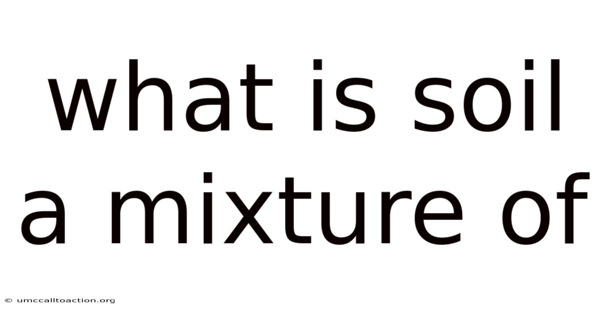 What Is Soil A Mixture Of