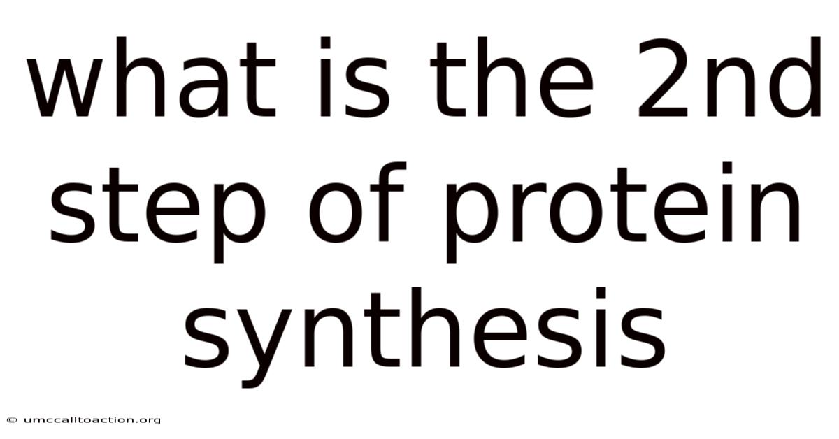 What Is The 2nd Step Of Protein Synthesis