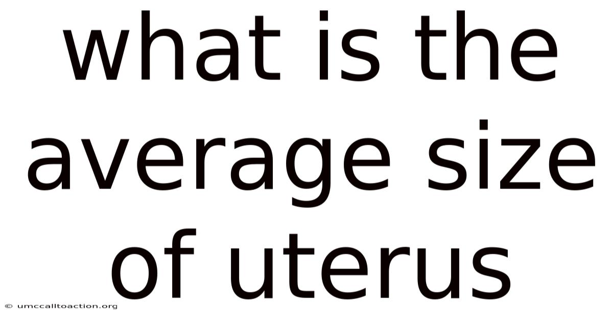 What Is The Average Size Of Uterus