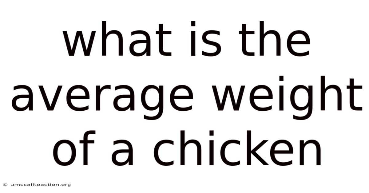What Is The Average Weight Of A Chicken