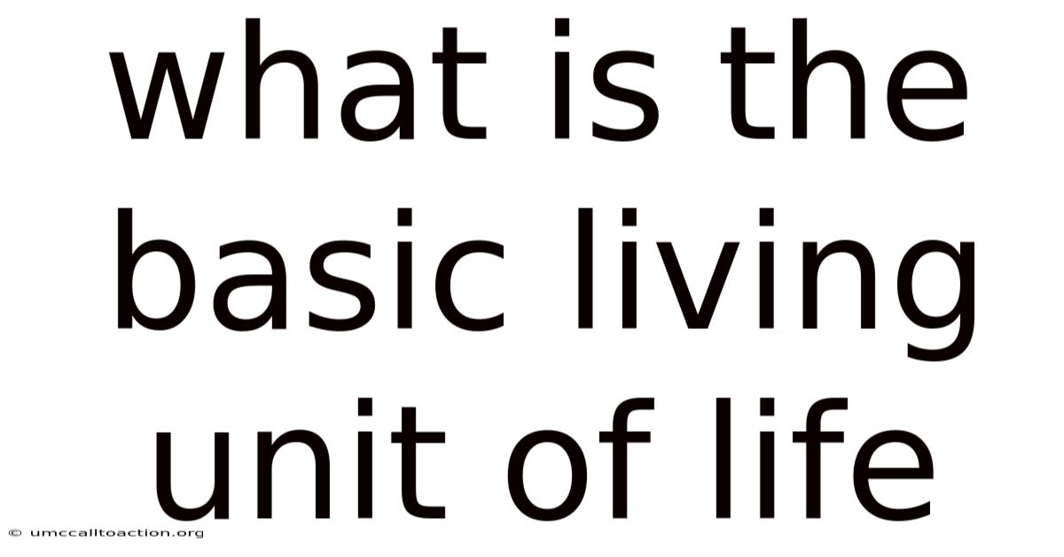 What Is The Basic Living Unit Of Life