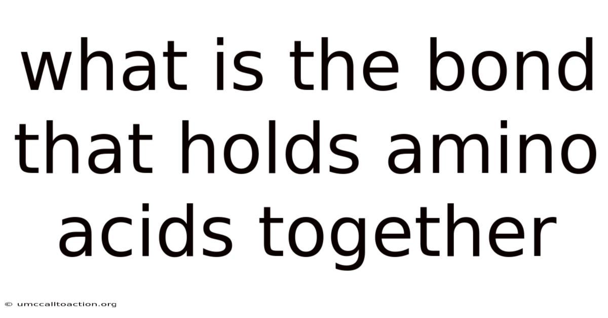 What Is The Bond That Holds Amino Acids Together