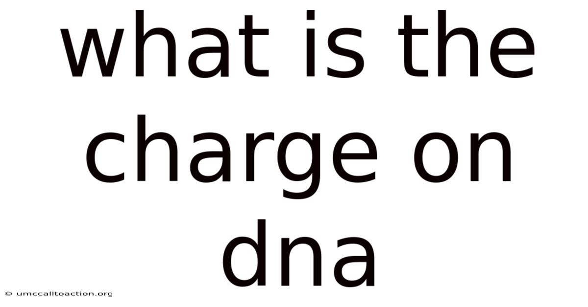 What Is The Charge On Dna