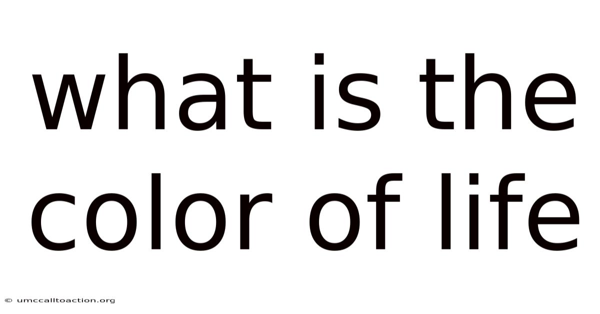What Is The Color Of Life