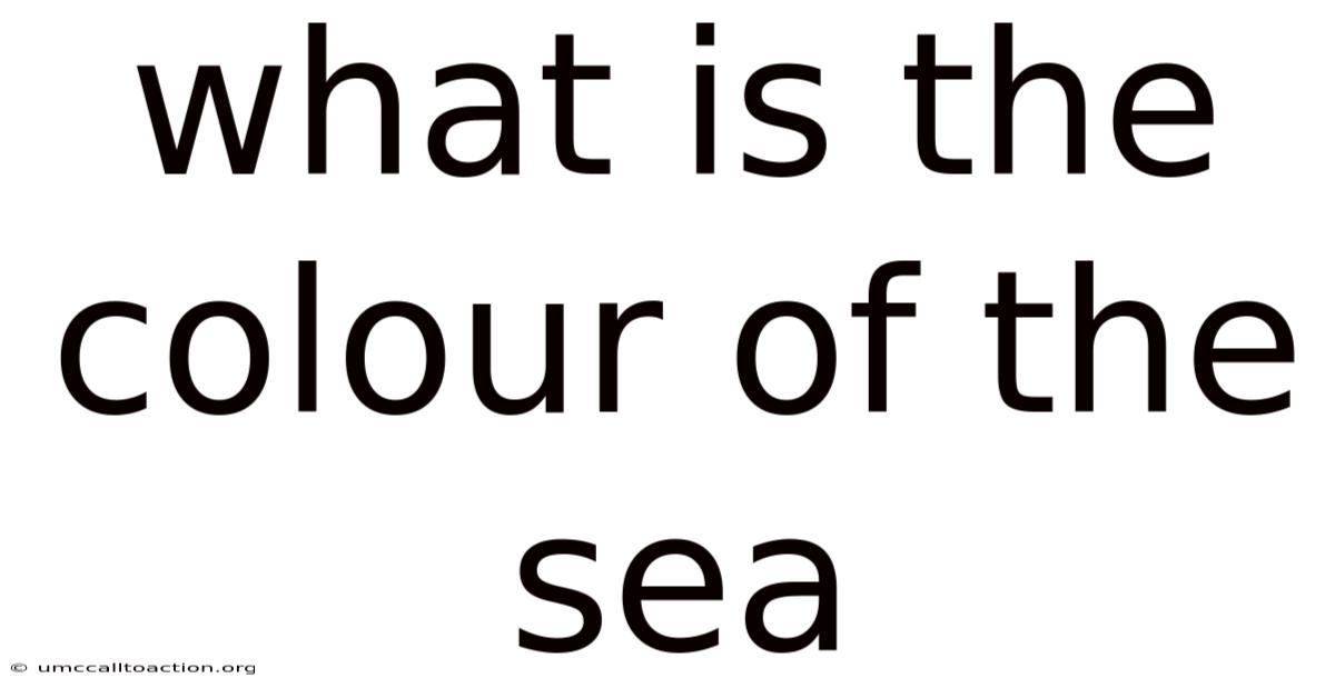 What Is The Colour Of The Sea