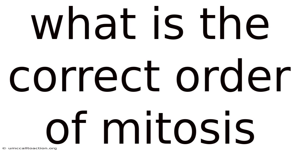 What Is The Correct Order Of Mitosis