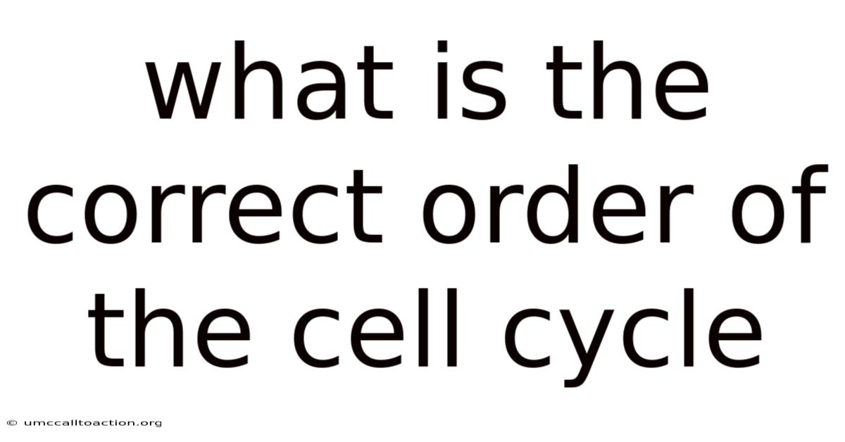 What Is The Correct Order Of The Cell Cycle